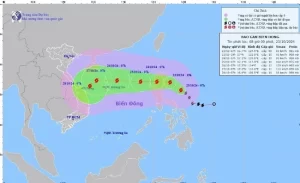 Biển động dữ dội trước tác động của bão TRAMI - Ảnh 1.