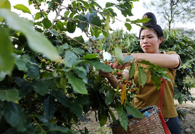 Quỹ Vì Tầm Vóc Việt: "Mô hình hành động tập thể" tạo thay đổi tích cực và bền vững cho cộng đồng - Ảnh 11.