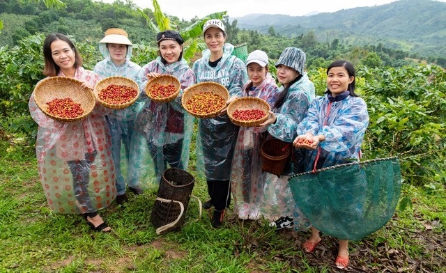 Phát triển du lịch nông thôn gắn với sản phẩm OCOP - Ảnh 1.